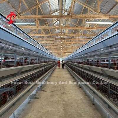 Automatische Vogel-Hühnerbatterie der Schicht-160 für Geflügelfarm Emily