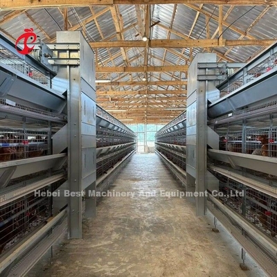 120 Vogel-Kapazitäts-Geflügel-Batterien automatischer A oder h-Schicht-Bauernhof Doris