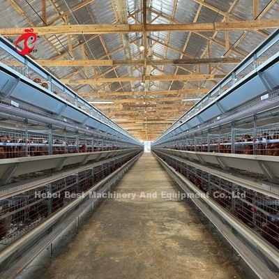 120 Vogel-Kapazitäts-Geflügel-Batterien automatischer A oder h-Schicht-Bauernhof Doris