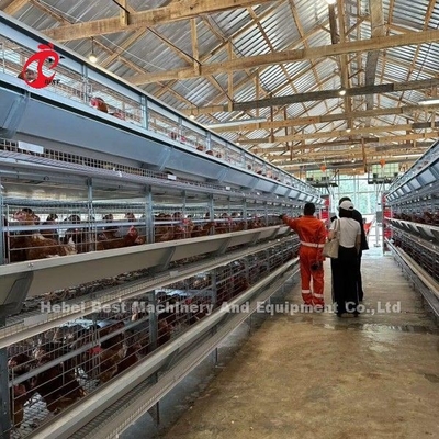 3/4/5/6/7/8 Schichten Geflügel-Schicht Käfig-System mit automatischem Feeder Adela