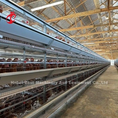 120 Vogel-Kapazitäts-Geflügel-Batterien automatischer A oder h-Schicht-Bauernhof Doris