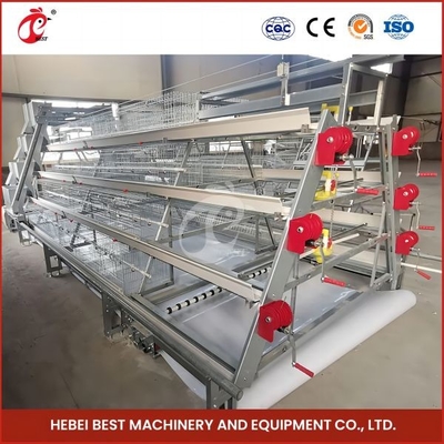Automatische Zucht Automatische Broiler Hühnerkäfig Rose