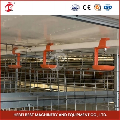Automatische Zucht Automatische Broiler Hühnerkäfig Rose