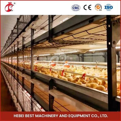 96-128 Hühner Broiler Hühnerkäfig vollautomatischer Mia
