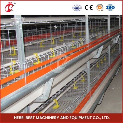 96-128 Hühner Broiler Hühnerkäfig vollautomatischer Mia