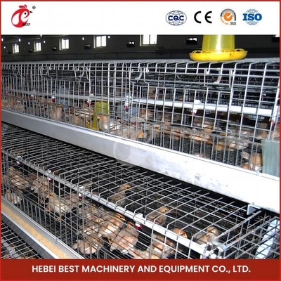 Geflügelfarm Batterie Baby Chick Brutkäfig zum Verkauf Ada