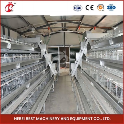 96 Vögel H-Typ automatischer Hühner-Hühnerkäfig / A-Typ Broiler-Hühnerkäfig mit Schiebetür Rose