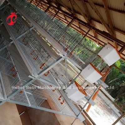 3 oder 4 Stufe Kükenzucht Käfig H Gürtel Handreinigungssystem 2x2x1.6meter Doris