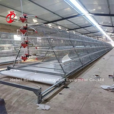H-Typ automatischer H-Typ Broiler Hühnerkäfig Videoinstallation Ausgehende Inspektion zur Verfügung gestellt Rose