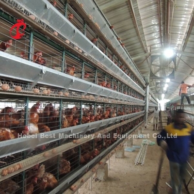 Halbautomatisches Schichtkäfigsystem 2,2 m X 2,4 m X 1,95 m für Geflügelfarmen Iris