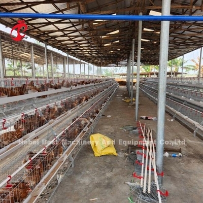 2.2m x 2.4m x 1.95m Schicht Batterie Käfig System 4 Stufe 160 Kapazität Sand