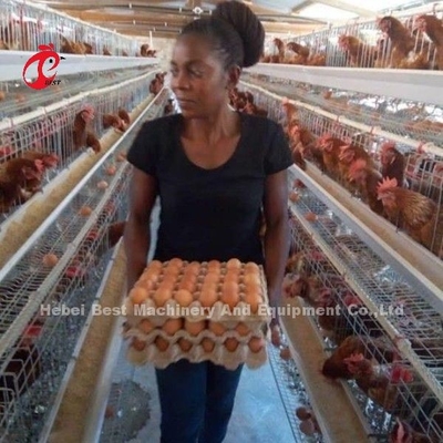 4 Vögel/Zelle Hot Dip Galvanized Battery Cage System für Schicht Farm Star