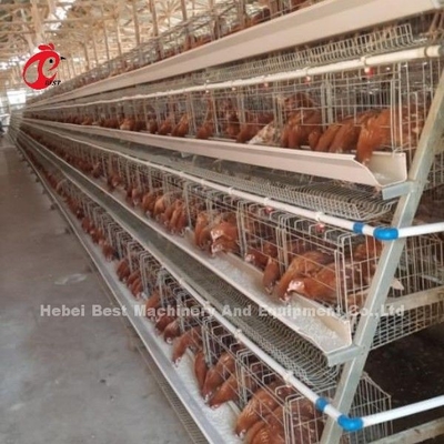 Automatische elektrische Steuerung Geflügelschicht Käfigsystem 4 Stufe Farm Design Ada