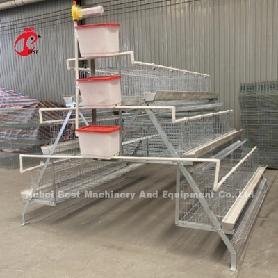 Automatisches Trinksystem für Hühner Hühnerzucht Käfigsystem der Schicht Hühnerfarm Doris