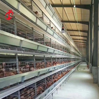 Moduläres Geflügelkäfigsystem für Schichtfarmen