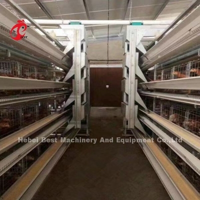 H-Rahmen für 30000 Vögel Geflügelfarm Emily Wang