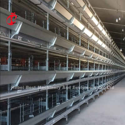 Neues Design H-Typ Automatisches Hühnerkäfigsystem 96-200 Vögel Kapazität für Geflügelzucht Emily Wang
