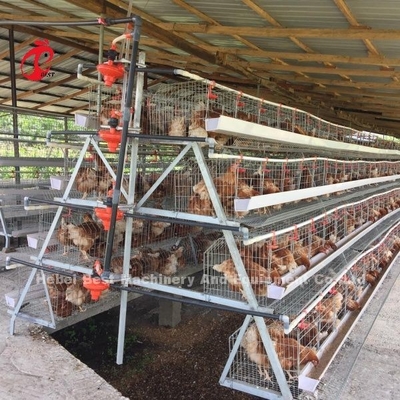 3 Stufe 120 Vögel und 4 Stufe 160 Vögel Schicht Batterie Käfig System für Uganda Tansania Geflügelfarm Sandy