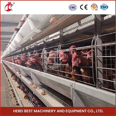 H-Typ galvanisierte Geflügel-Schicht Käfig-System-Schicht Hühner-Stahl-Käfig Mia