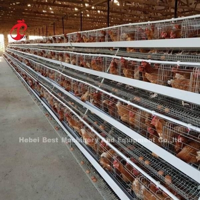 Türen des Geflügelzucht-Käfig-System galvanisierte Ei-Schicht-Käfigs 40 in Afrika Adela