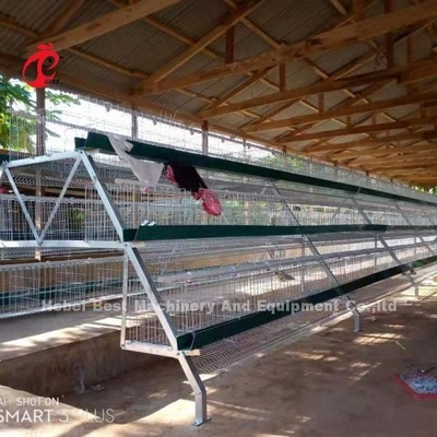 Heißes eingetauchtes galvanisiertes Schicht-Batterie-System für Geflügelfarm Q235 Stahl-Emily