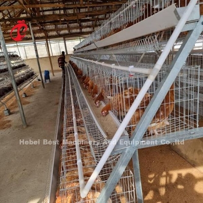 Automatisches Geflügel-Layer Broiler-Farmkäfig-System mit Trink- und Fütterungsgeräten Adela