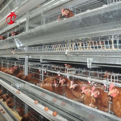 Halb automatischer Geflügel-Schicht-Käfig-Fütterungssystem 1.5KW 380V Doris