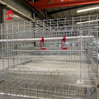 Reihen des Geflügelfarm-Brathühnchen-Käfig-3, eine Art Batterie für Bratroste Doris