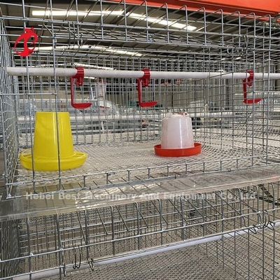 Reihen des Geflügelfarm-Brathühnchen-Käfig-3, eine Art Batterie für Bratroste Doris