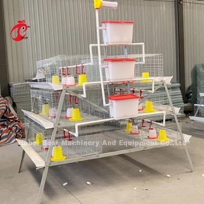 Ein Typ Broiler Batterie Käfig Galvanisiert Hohe Festigkeit Geflügel Broiler Käfig Iris