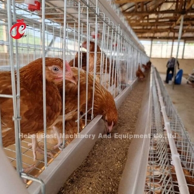 Gut eine Art Vögel des Hühnerkäfig-500 für Schicht-Geflügelzucht-Hühnerkäfig Sandy