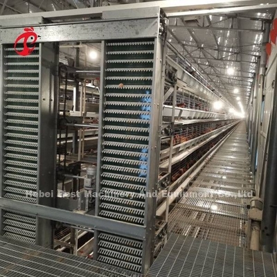 Automatisches Eiersammel-Fütterungssystem für 30.000 Hühner