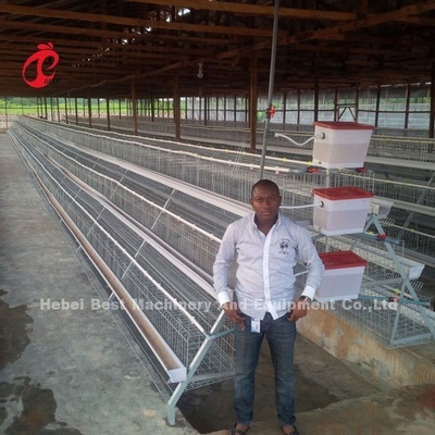 Professionelle Schicht Batterie Käfig installieren in Nigeria automatische Hühnerkäfig Doris