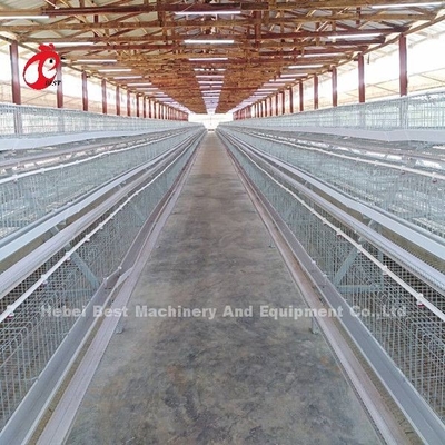 Eine Art Vogel-Huhn der Geflügel-Batterie-120, das Ei-Käfig Afrika Doris legt