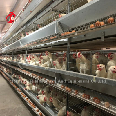 H-Art Reihen des Schicht-Batterie-System-4 überlagern Geflügelfarm-Ausrüstung CER Zustimmung Sandy