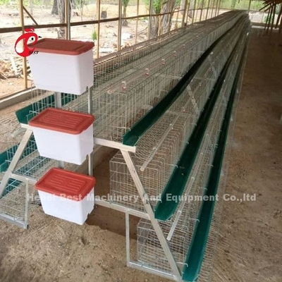 Nigeria-Lager-erstklassiges und deluxes Geflügel-Batterie-System für Schicht-Hühner Sandy