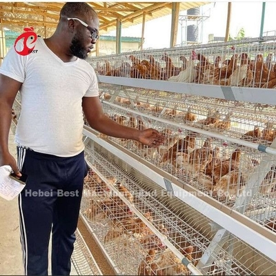 Automatischer Batterie-Schicht-Käfig, Geflügelzucht-Käfig Nigeria Lagos Sandy