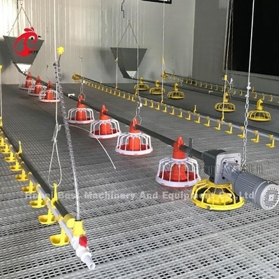 Automatischer Brathühnchen-Käfig mit Boden-Zufuhr Pan Drinking System Emily