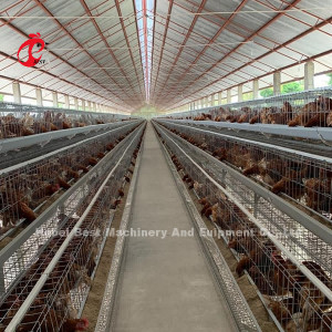 Reihen-Geflügel-Schicht-Käfig Ugandas 4 für Verkaufs-Bauernhof-Huhn 100 Kilogramm Mia