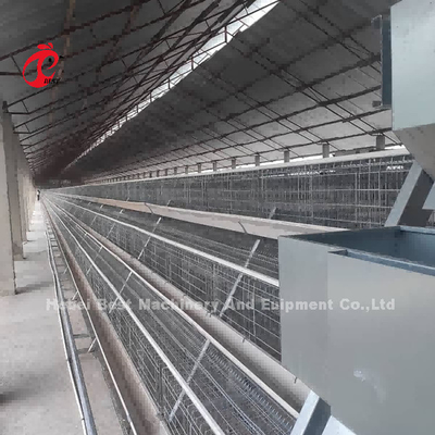 Draht Mesh Automatic Battery Cage System in Nigeria-Geflügelfarm Mia