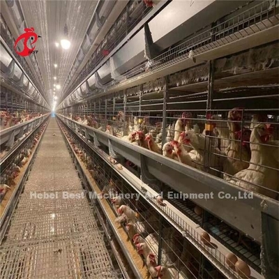 144 Vögel Kapazität H-Typ Schichtkäfig für kommerzielle Hühner Mia