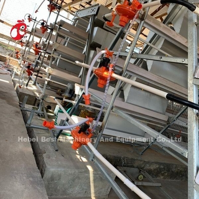Guter Preis-heiße galvanisierte Schicht, die Art Verkauf Adela des Käfig-Systems A bewirtschaftet