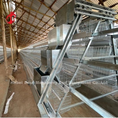Galvanisierte Geflügelzucht Ein automatisches Käfigsystem für Schichten in Nigeria beliebt Rose