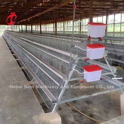 Handelshühnerschicht-Batterie-System 2.0m*2.0m*1.45m in Nigeria-Stern
