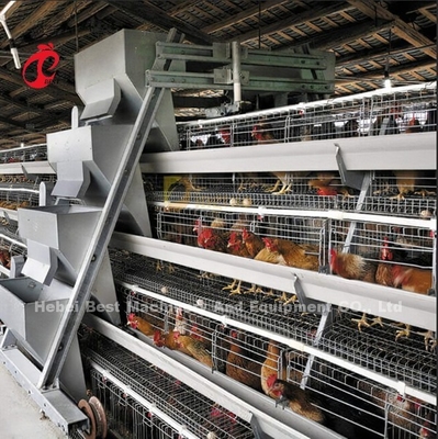 Stern des schlüsselfertiges Projekt-automatischer Geflügel-Batterie-System-3 der Reihen-450cm2