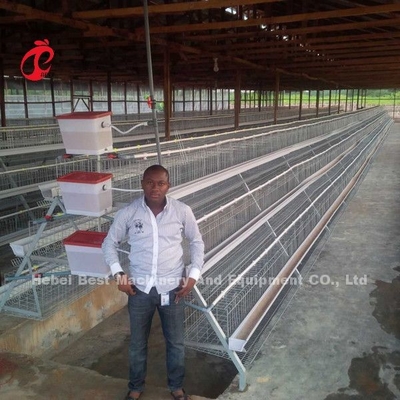 Schicht-Batterie-Preis in Nigeria 12 Vögel des Wochen-Huhn128 spielen die Hauptrolle
