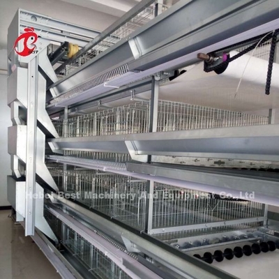 Komplette h-Art automatische Schicht-Hühnerbatterien 500 Vögel Adela