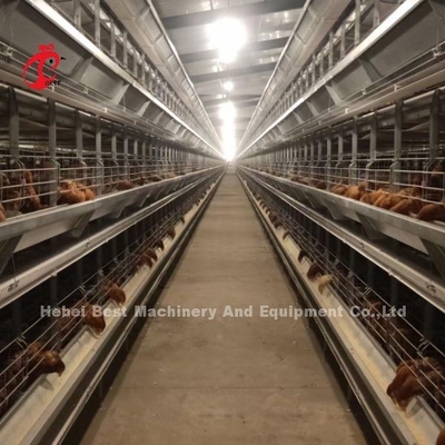 PVC beschichtete Batterie-Geflügelfarm-Ausrüstung 380V 3kw Emily
