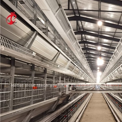 Automatische Fütterung Geflügelzucht Käfig-System mit Metall-Füttertröhren H-Typ Stahldraht Käfigrahmen Rose