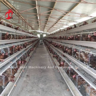 Billiges automatisches Batteriekäfigsystem heißverzinkt 25 Lebensdauer 450cm2 In Nigeria Emily